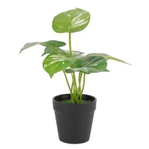 Videi draudzīgs zaļais mākslīgais augs Pundurkociņš