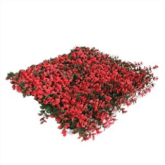 Mākslīgā buksuss paneļa vertikālais plāns