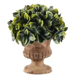 Mājas mākslīgie augi Plastmasas pundurkociņš