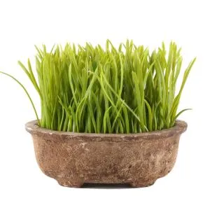 Mākslīgie podi ar podiem ārpus telpām